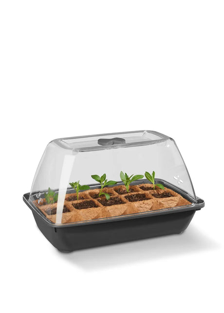 Image for Herb Propagator Set