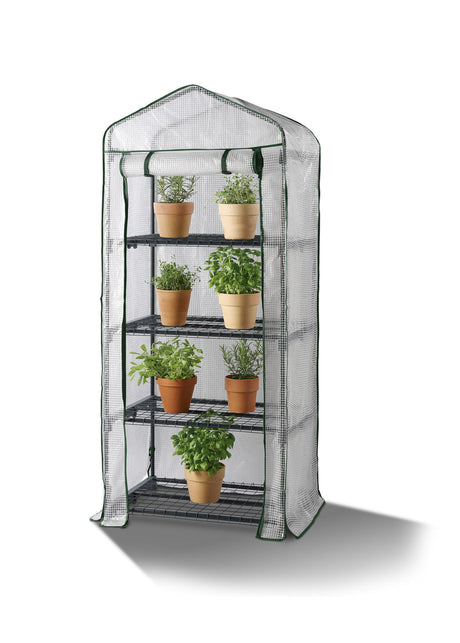 Image for Greenhouse For Growing Plants