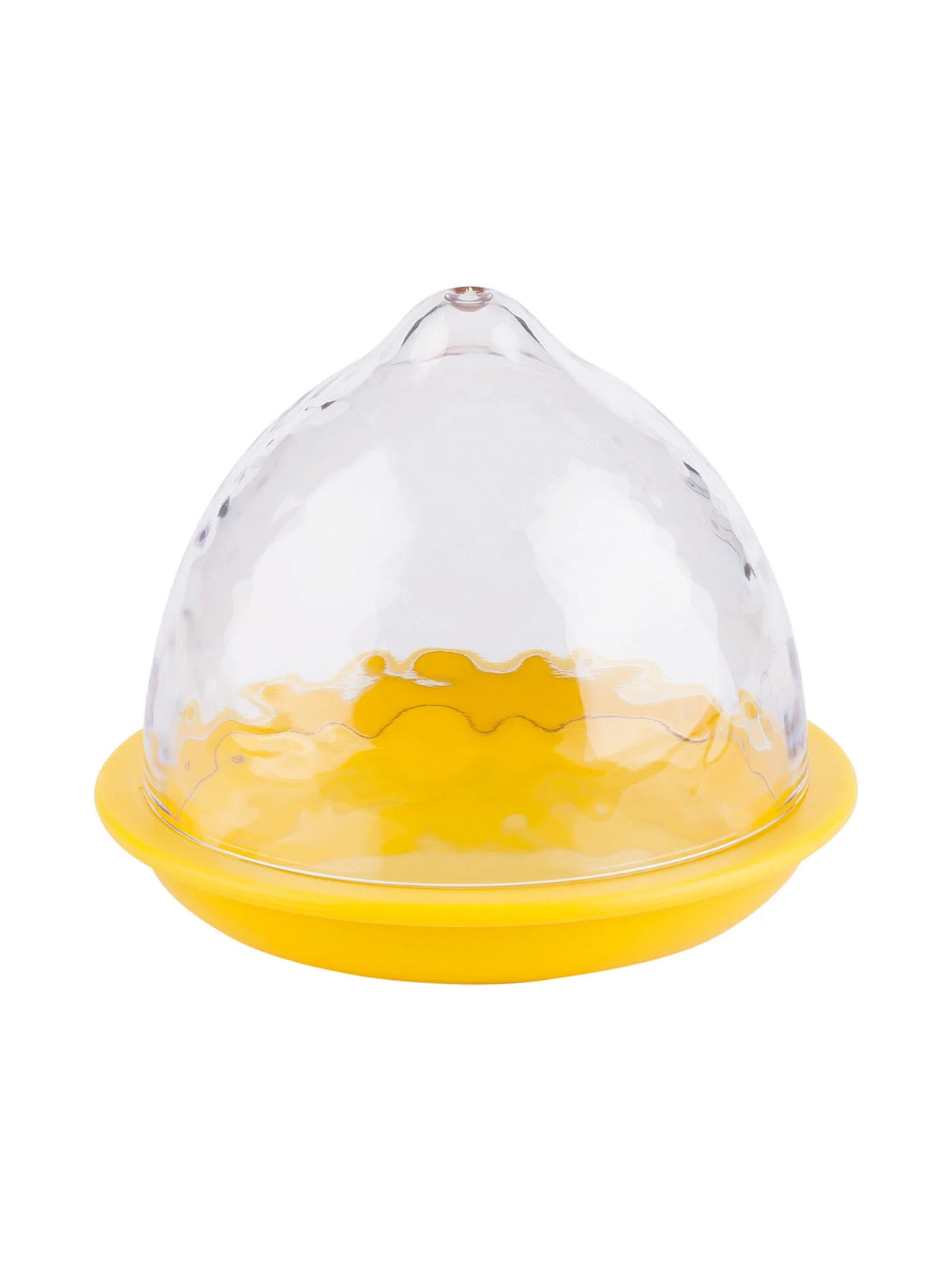 Image for Lemon Container