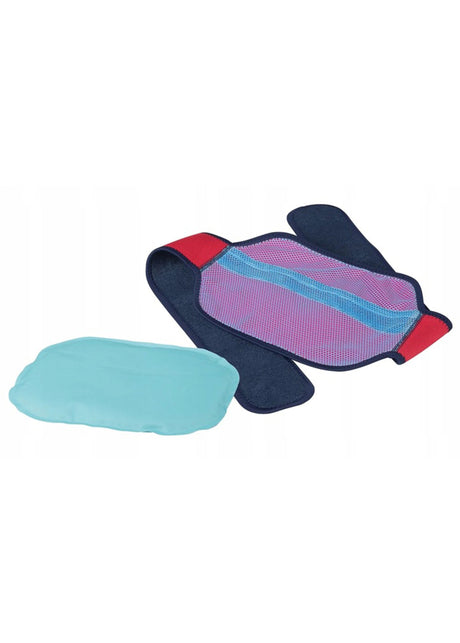 Image for Gel Compress