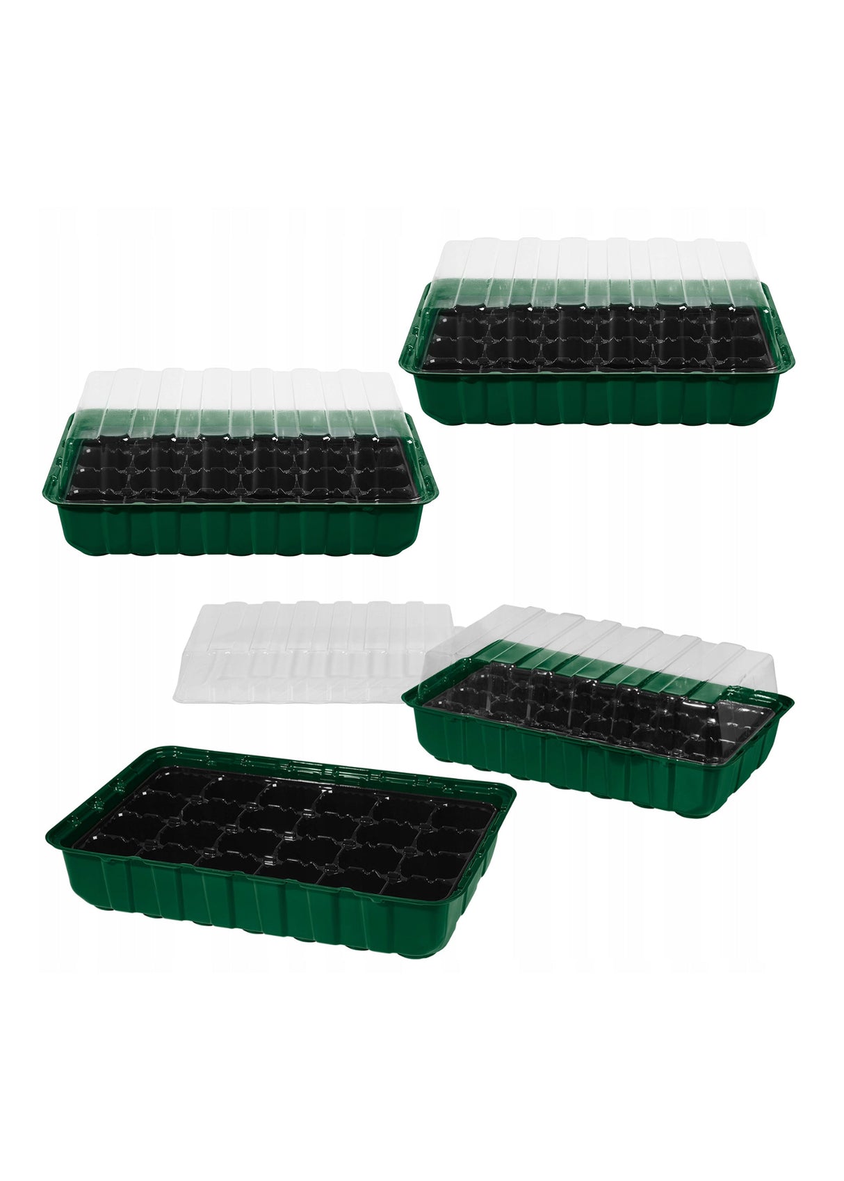Image for Growing Boxes