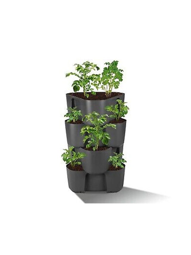 Image for Potato And Plant Pot