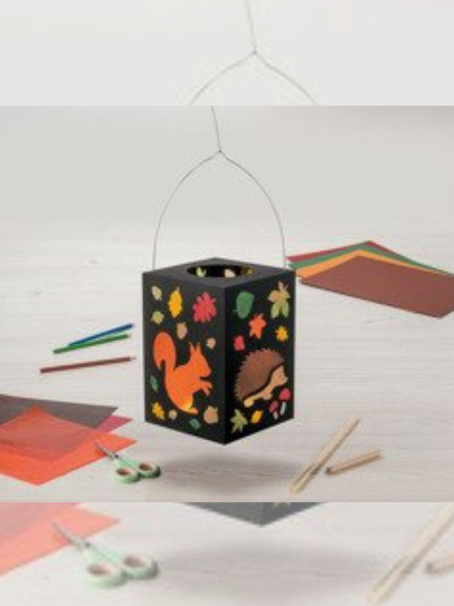 Image for Forest Animals