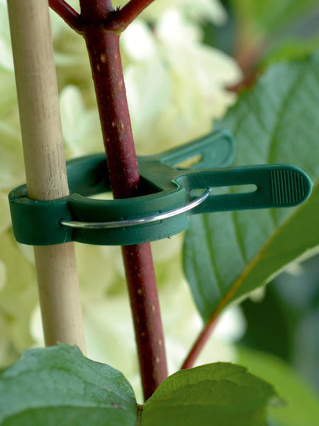 Image for Plant Clips