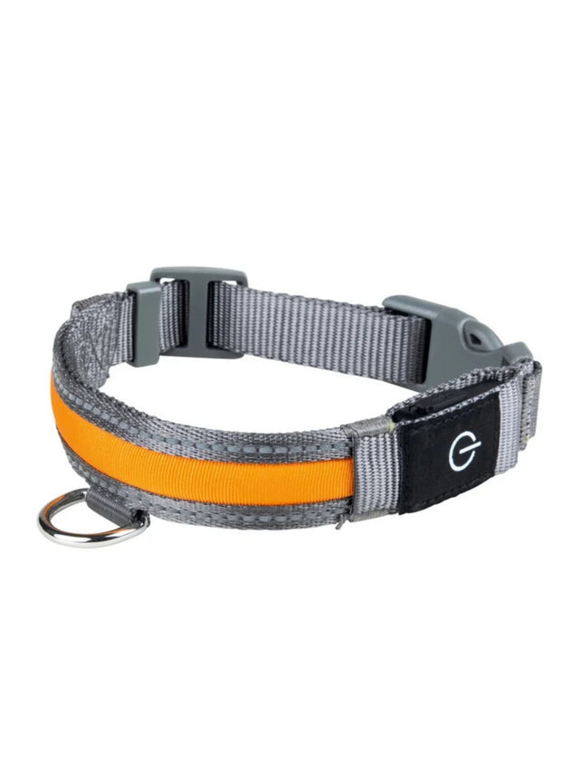 Image for Led Dog Collar