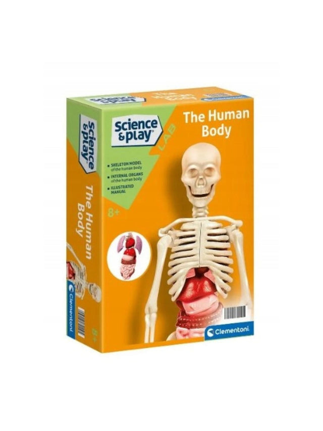 Image for Human Body Experimental Kit