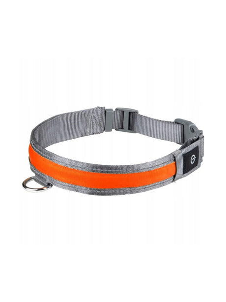 Image for Led Dog Collar