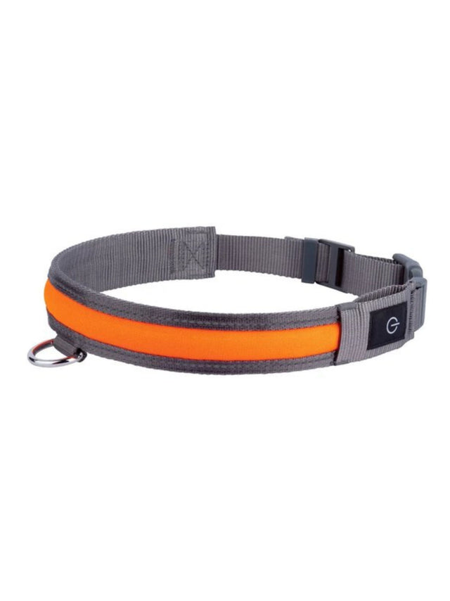 Image for Led Dog Collar