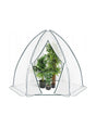Image for Greenhouse