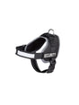 Image for Dog Harness With Reflective Elements