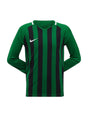 Image for Men's Striped Sport Top,Green