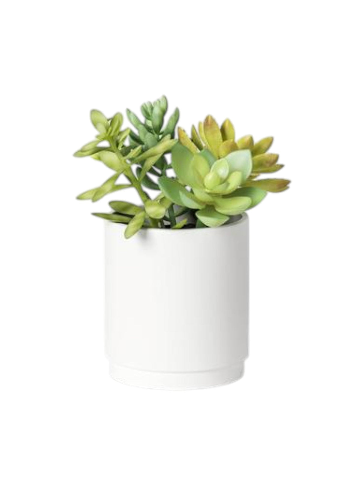 Image for Plant In Pot