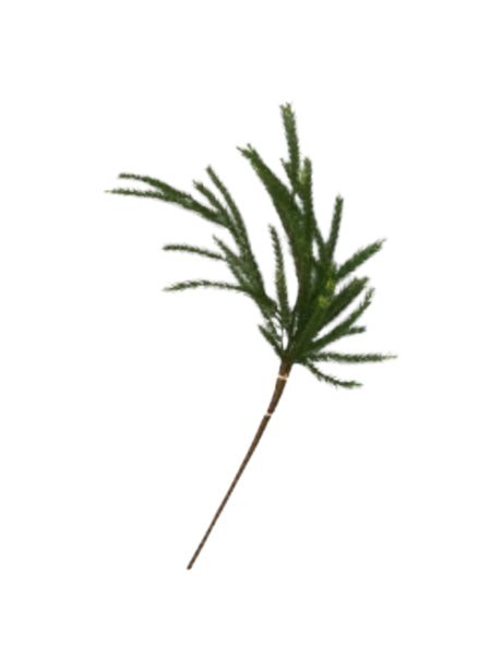 Image for Stem Pine