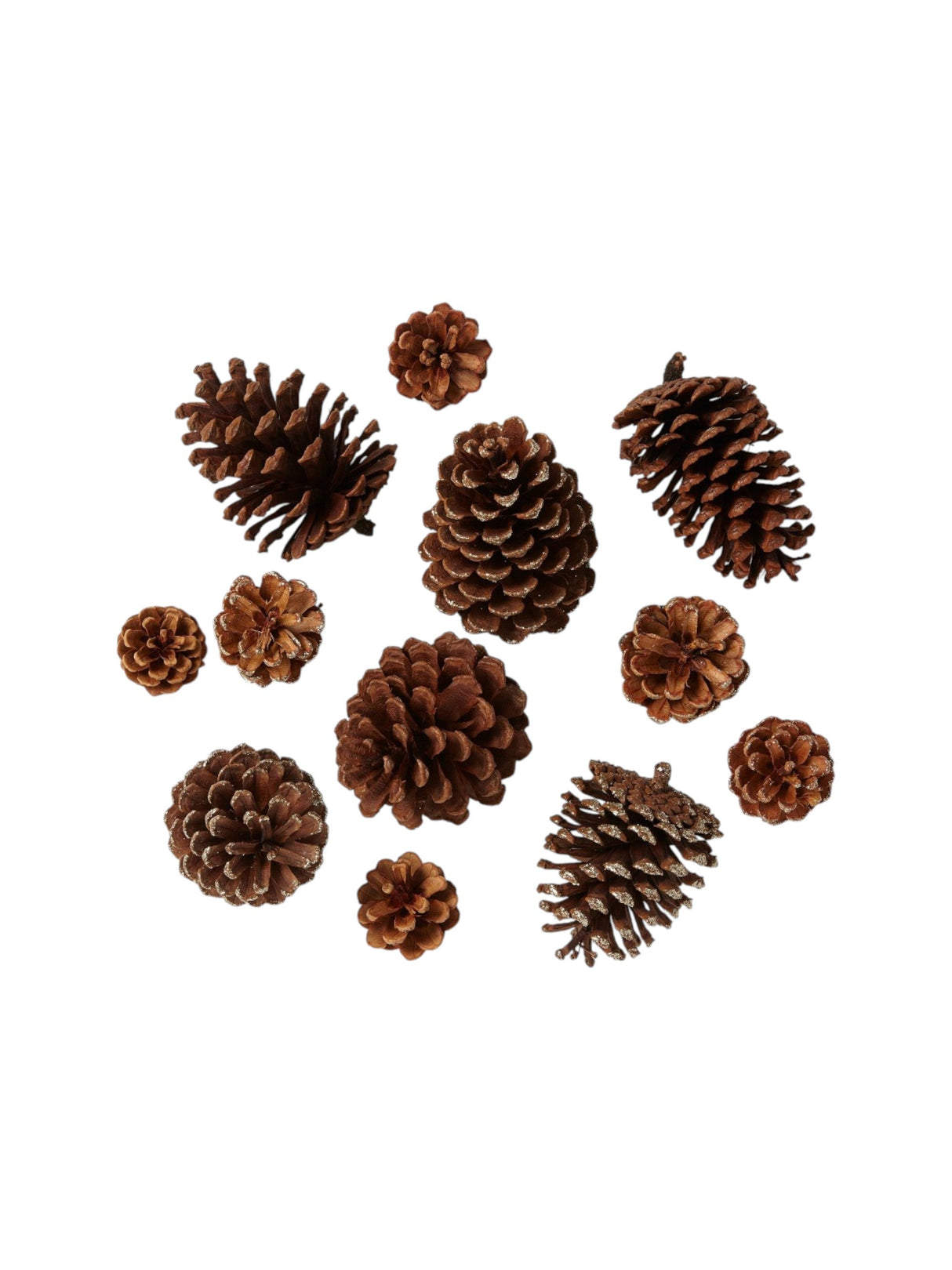 Image for Pinecone