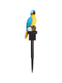 Image for Decorative Solar Light (Parrot/Blue)