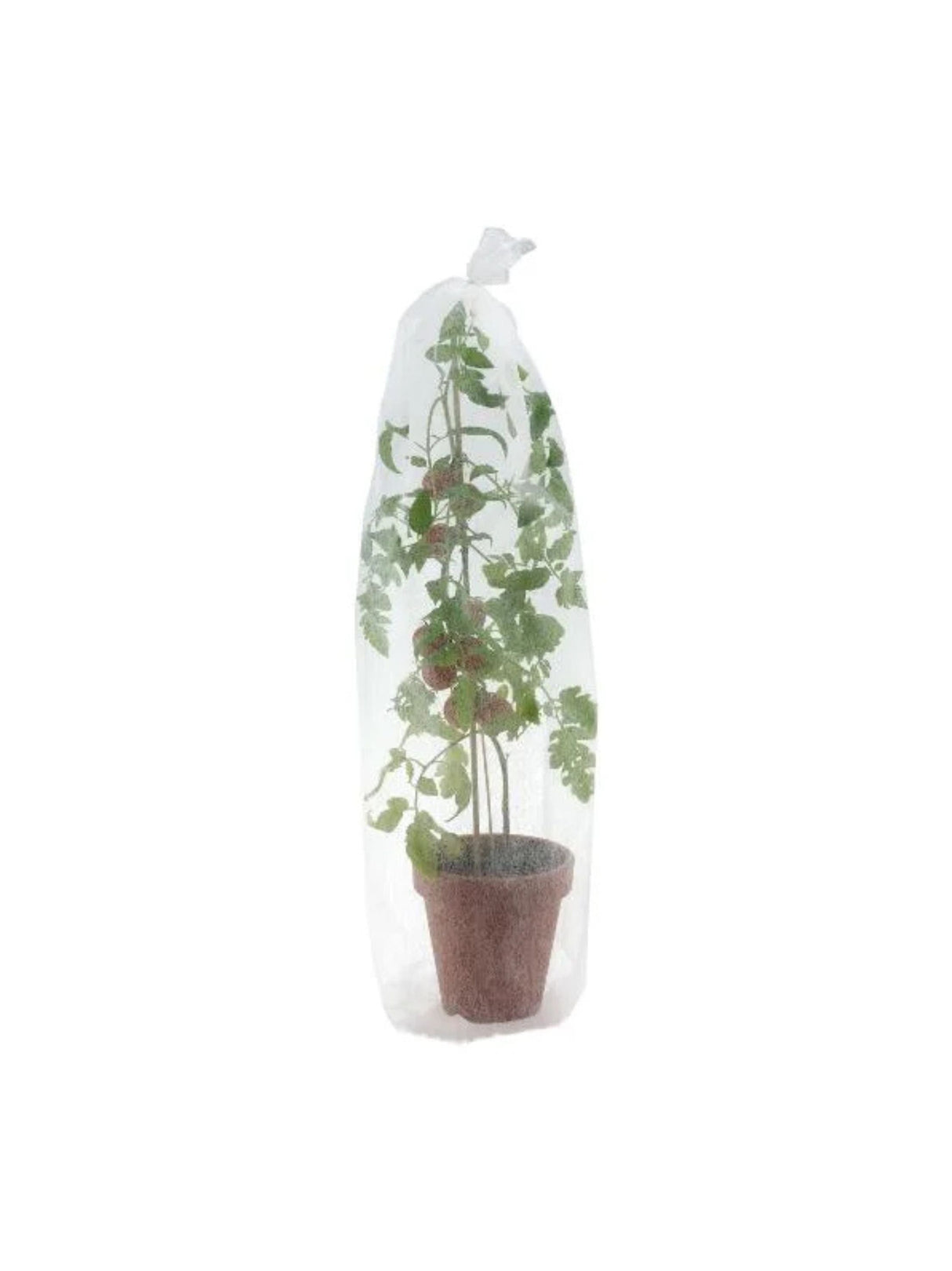 Image for Tunnel Nonwoven Fabric For Tomatoes