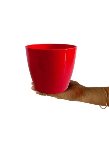 Image for Plante Pot