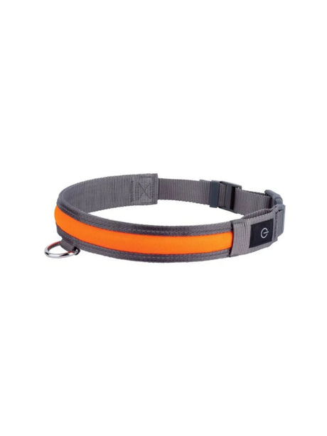 Image for Led Dog Collar
