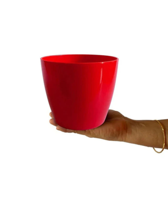 Image for Plante Pot