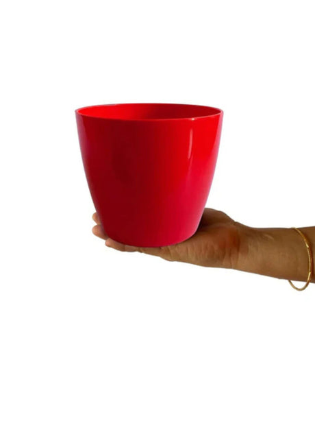 Image for Plante Pot