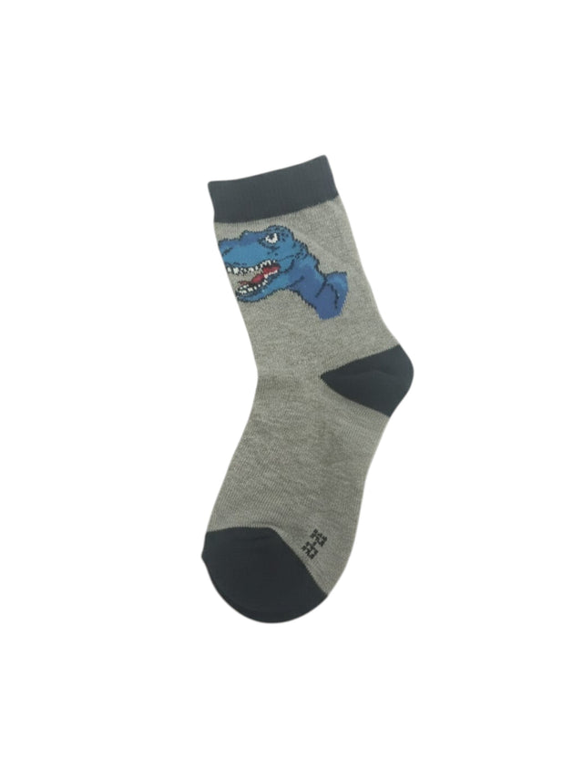 Image for Kids Boy's Printed Socks,Grey