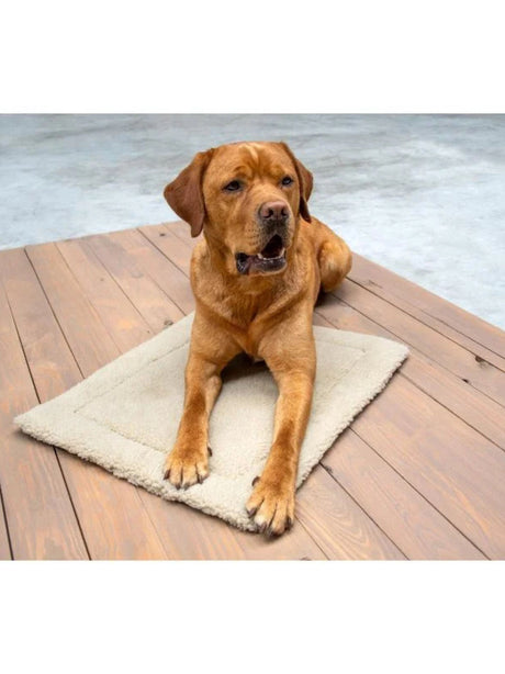 Image for Pet Mat