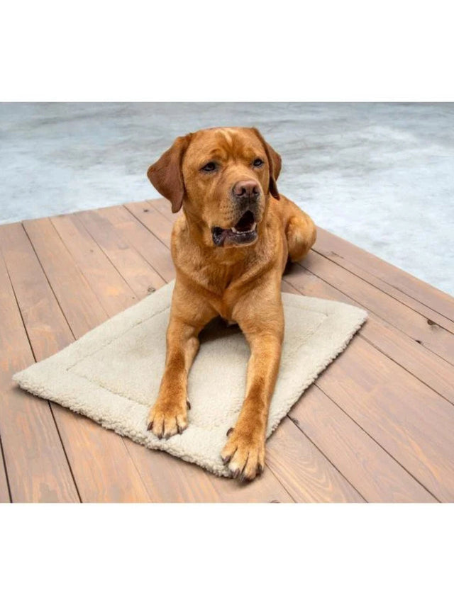 Image for Pet Mat