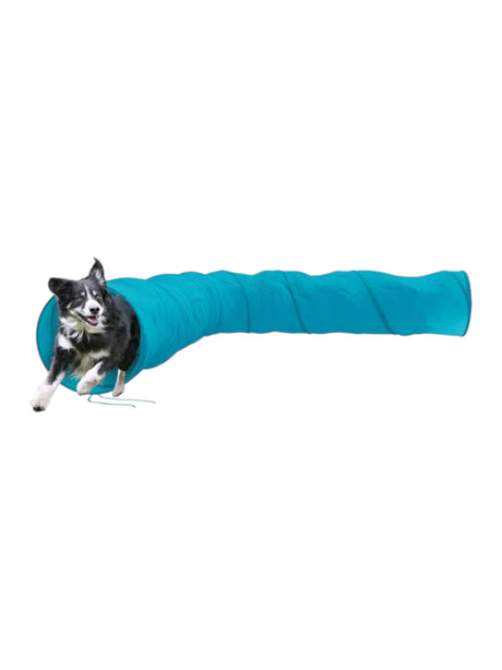 Image for Agility Tunnel