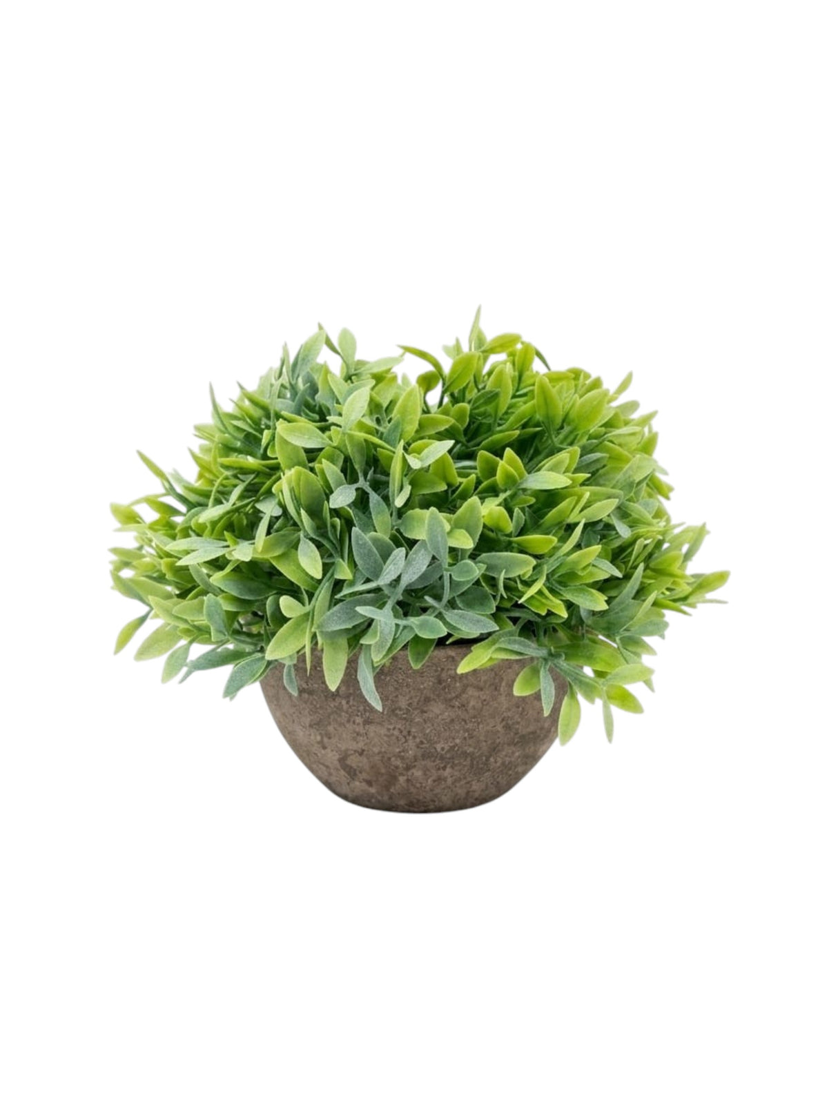 Image for Artificial Plant