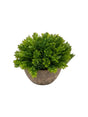 Image for Artificial Plant