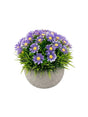 Image for Artificial Plant