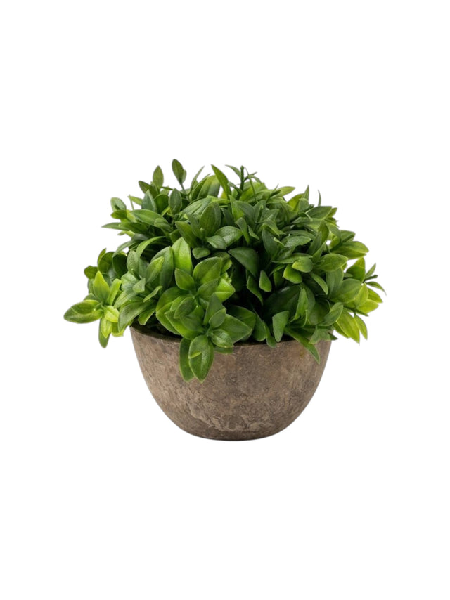 Image for Artificial Plant