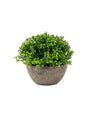 Image for Artificial Plant