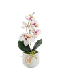 Image for Artificial Plant