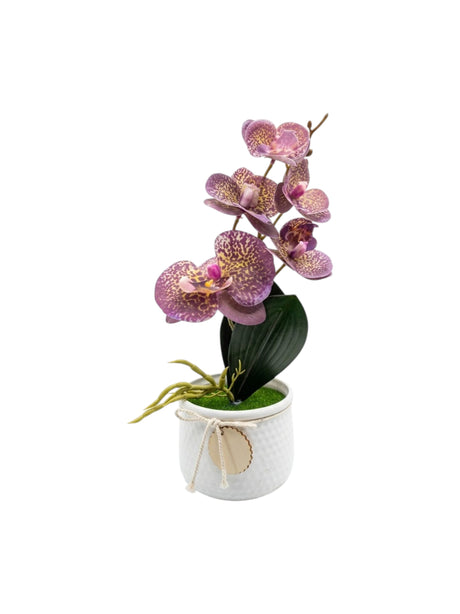 Image for Artificial Plant