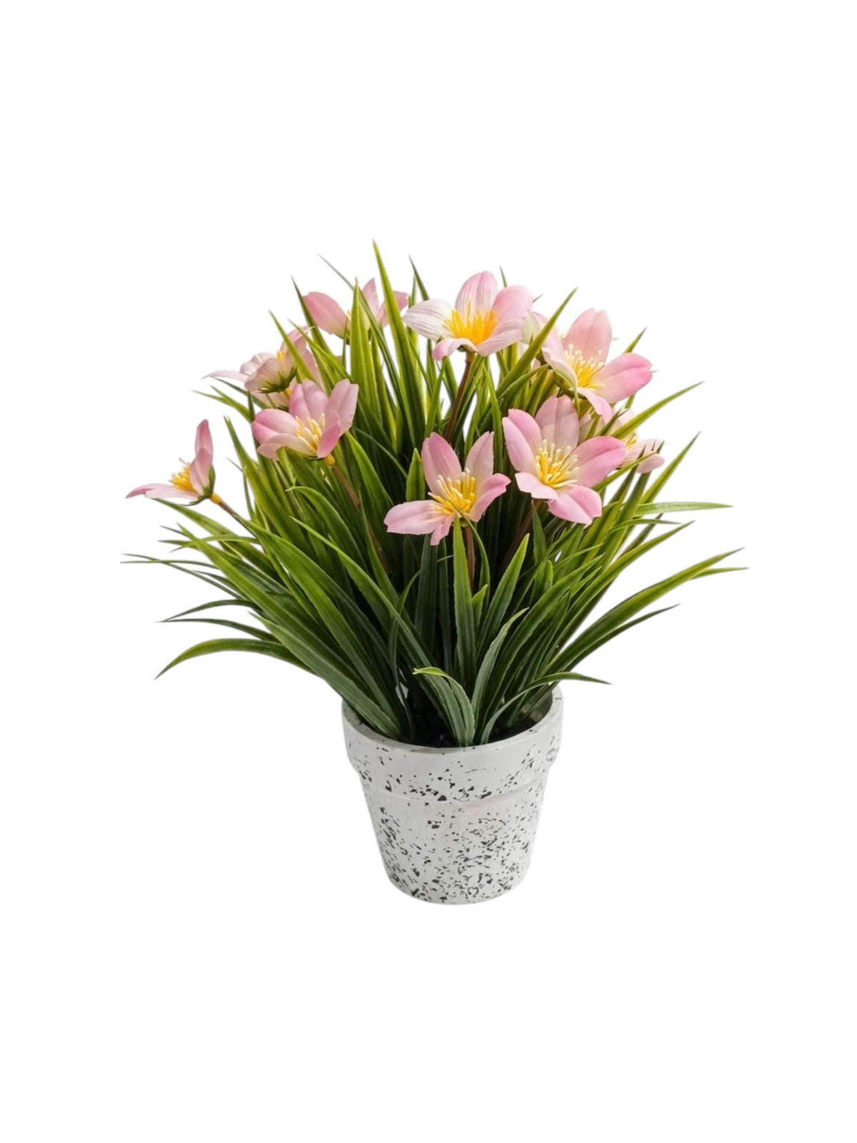 Image for Artificial Plant