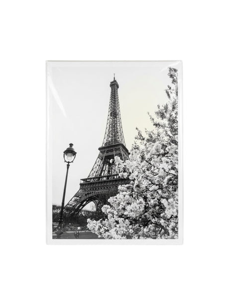 Image for Poster