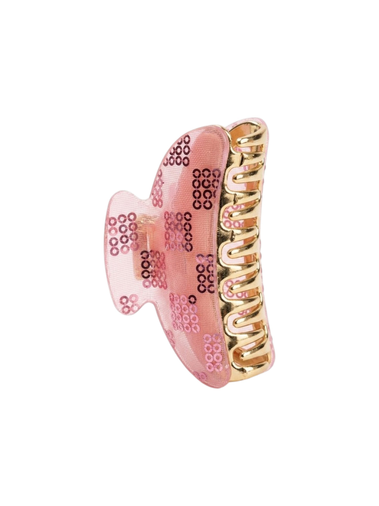 Image for Hair Jaw Clips