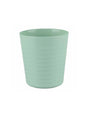 Image for Cups
