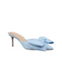 Image for Women's Front Bow Heeled Shoes,Light Blue