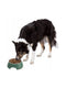 Pet Supplies