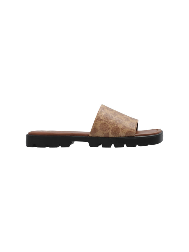 Image for Women's Plain Shoes,Brown