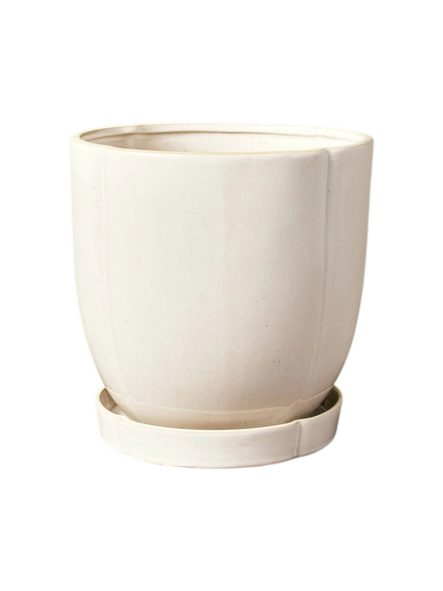 Image for Ceramic Planter Pot