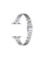 Image for Slim Stainless-Steel Band
