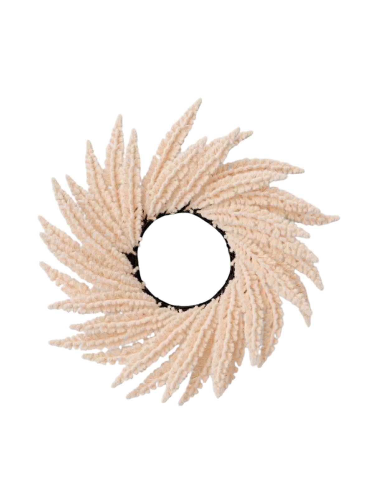 Image for Pampas Mini Wreath
