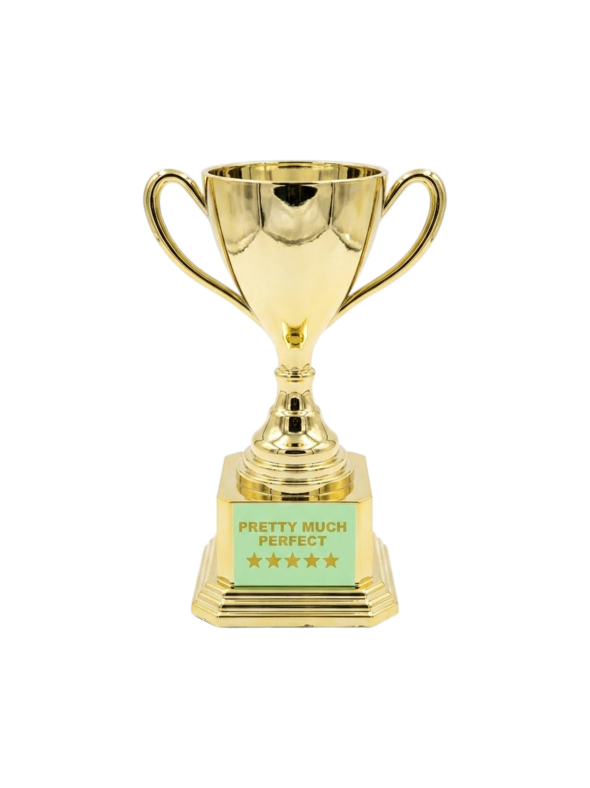 Image for Novelty Award / Keepsake Trophy