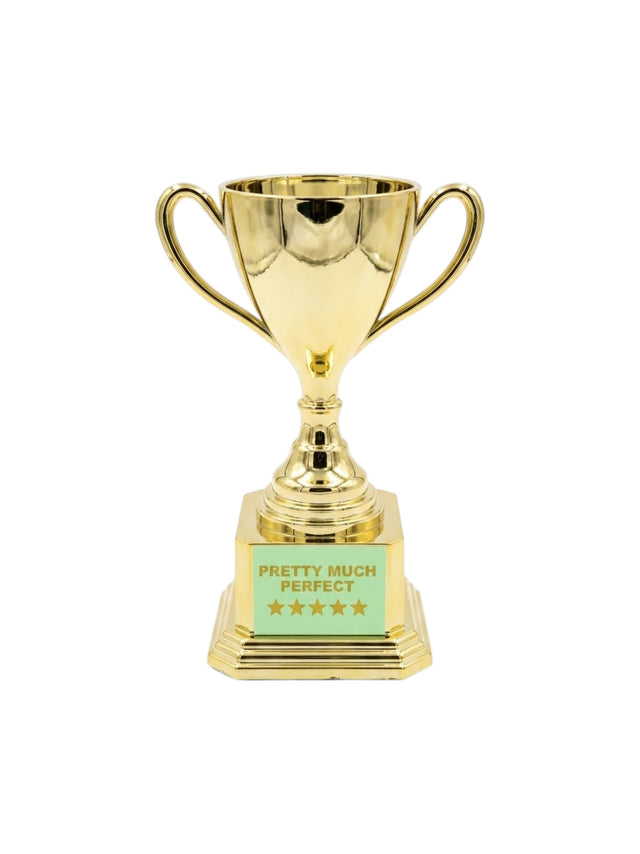 Image for Novelty Award / Keepsake Trophy