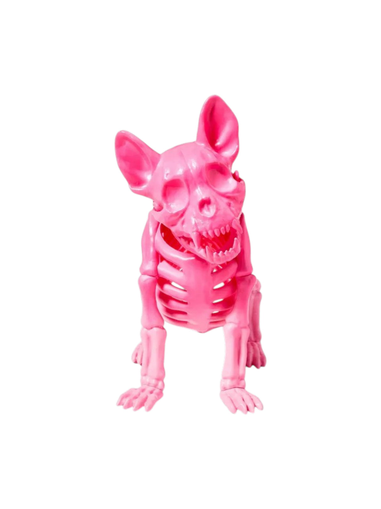 Image for French Bulldog Skeleton