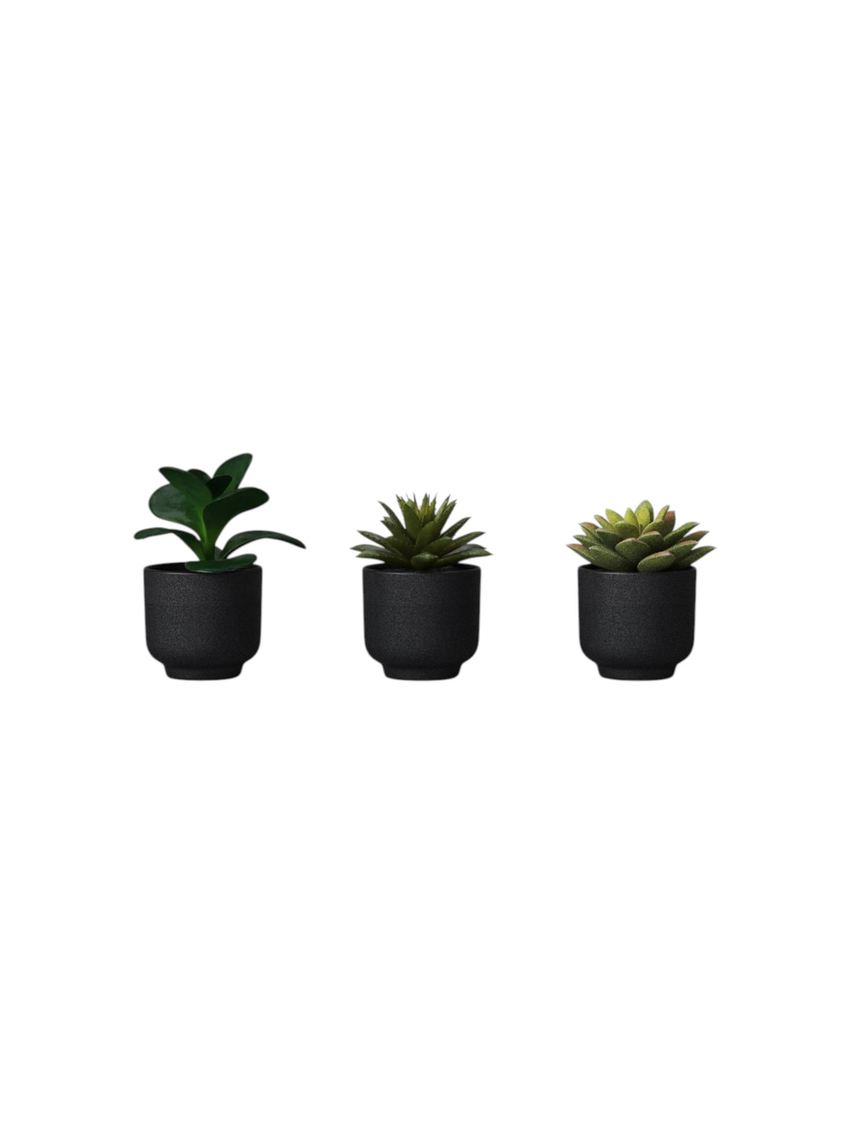 Image for Faux Succulents