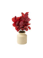 Image for Tabletop Arrangement